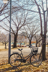 Fototapeta premium Japanese city atmosphere during autumn in Ibaraki Prefecture