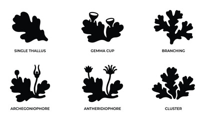 Set of black lichen icons showing various morphological forms like single thallus gemma cup branching and reproductive structures