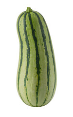 Single striped green squash on black background