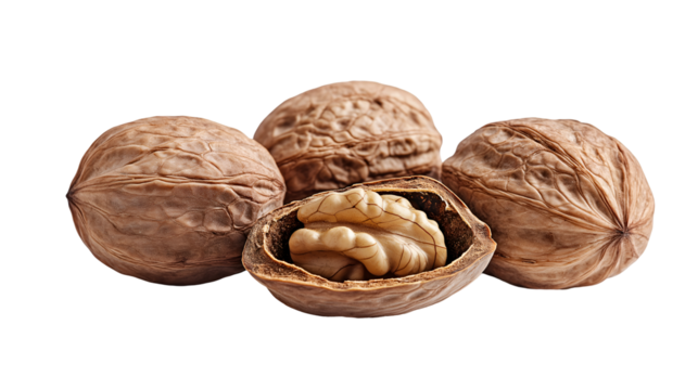 A close up of several walnuts including one that is open showing the nut inside its shell