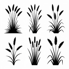 A clean, minimalist, vector graphic illustration featuring six distinct silhouettes of tall, grassy plants arranged in a 2x3 grid against a pure white background. 