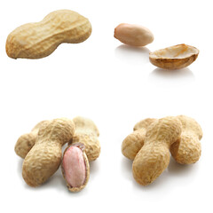 raw peanuts pods isolated on a white background