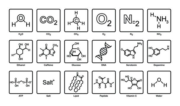 Set of chemistry vector icons showing structures of water, carbon dioxide, methane, oxygen, nitrogen, and ammonia