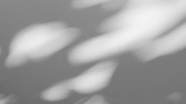 Wall interior background, studio and backdrops show products.with shadow from window color white and grey. background for text insertion and presentation product	