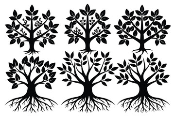 Six trees with diverse silhouettes display lush foliage and intricate root systems elegantly