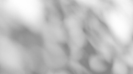 Wall interior background, studio and backdrops show products.with shadow from window color white and grey. background for text insertion and presentation product	 - Powered by Adobe