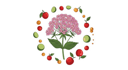 A lovely botanical illustration of a pink valerian flower centered inside a decorative circular frame of fresh berries and fruits.