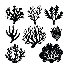 Different coral shapes display bold silhouettes, creating a captivating underwater plant collection against white