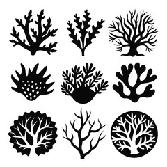 Collection of nine black seaweeds shows diverse shapes and forms against a clean, white backdrop