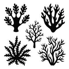Silhouette of five black seaweeds shows different shapes on a white background