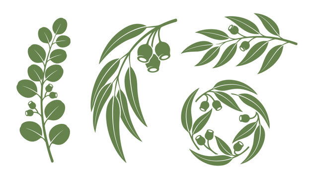 Collection of various eucalyptus leaf and gumnut arrangements, ideal for creating patterns or natural-themed graphics
