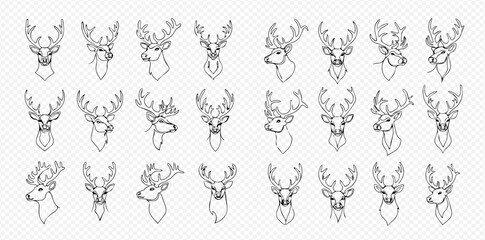 Collection of various deer head line art illustrations in different poses and styles.