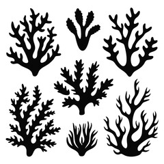 Various black coral silhouettes display unique branch structures against the white background, forming diverse shapes © Pinak