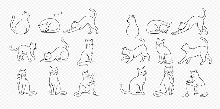 Set of nine minimalist line art cat illustrations in various poses including sitting, sleeping, stretching, and playing.