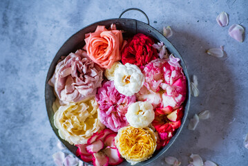 Fototapete bei efototapeten.de bestellen   