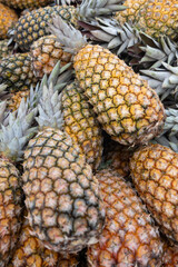 Pile of fresh ripe pineapples on display at a market. Fresh market pineapples.