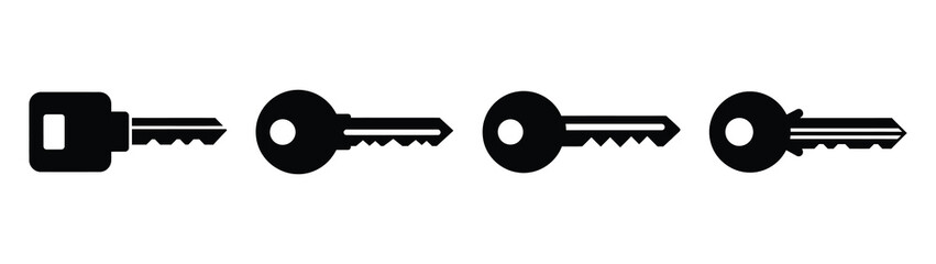 Set of vector password key icon. Business silhouette icons