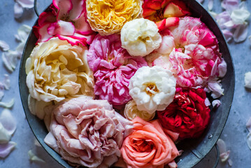 Vibrant roses in pink, red, and cream rest in a rustic bowl with delicate petals