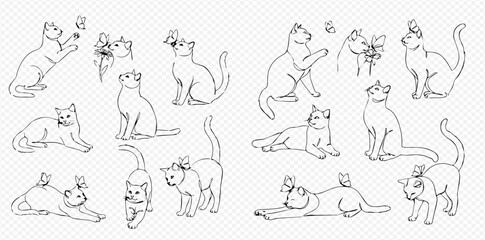 Collection of various line art cat drawings in different poses, some interacting with butterflies, on a transparent background.