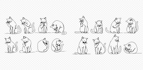 Set of minimalist continuous line art illustrations depicting various domestic cat poses and actions like sitting, grooming, and sleeping.