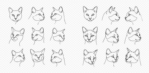 Collection of minimalist continuous line art fox head illustrations from various angles.