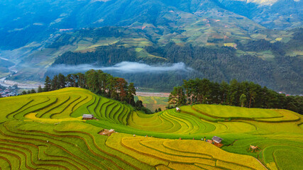Fototapeta premium rice terraces in Mu Cang Chai, Vietnam