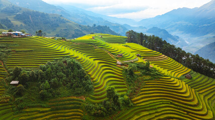rice terraces in Mu Cang Chai, Vietnam
