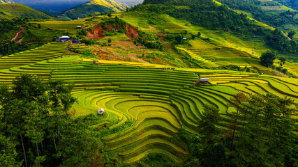 rice terraces in Mu Cang Chai, Vietnam