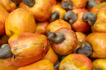 Pile of fresh ripe cashew fruits with selective focus close up.