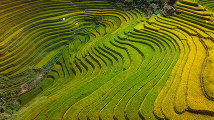 rice terraces in Mu Cang Chai, Vietnam