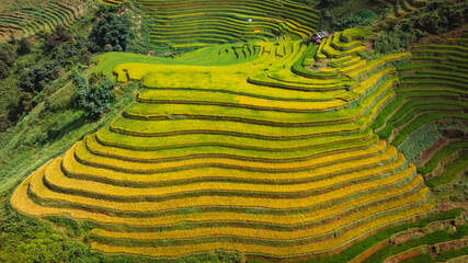 rice terraces in Mu Cang Chai, Vietnam
