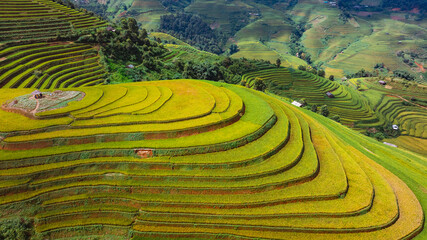 rice terraces in Mu Cang Chai, Vietnam