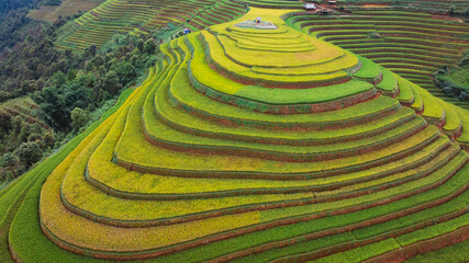 rice terraces in Mu Cang Chai, Vietnam