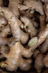 A close up image of many fresh organic ginger roots in a pile ready for market