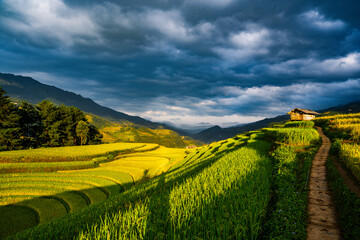 rice terraces in Mu Cang Chai, Vietnam