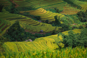 rice terraces in Mu Cang Chai, Vietnam
