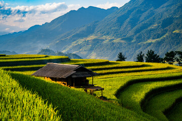 rice terraces in Mu Cang Chai, Vietnam