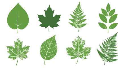 A collection of diverse green leaf illustrations with both clean and distressed textures, perfect for nature and environmental designs.