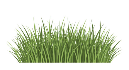A vibrant illustration of a dense, fresh green grass patch with varied blade heights and subtle textures, isolated on a pure white background.