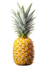 Fototapeta premium Whole Fresh Ripe Pineapple Fruit with Green Crown Leaves Isolated