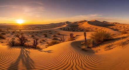 Golden Hour on Desert Dunes with Joshua Trees and Yuccas