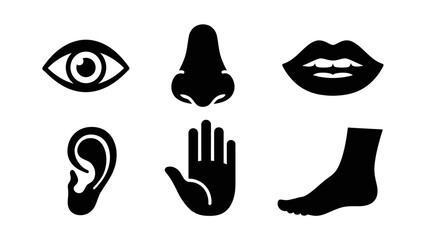 Six black icons representing the five senses and a foot.