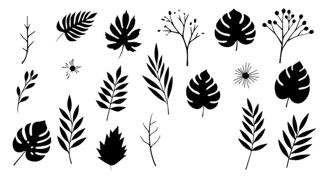 Assorted black silhouette leaves and branches arranged on white background.