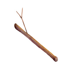 Watercolor wooden stick illustration isolated on white background. Natural wood branch element for rustic design, camping themes, forest decor, survival projects, cards, stickers and packaging.