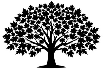 Fototapeta premium Black silhouette of a maple tree with many leaves on a white background vector