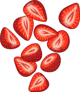 Create a kinds of deferent falling strawberry slices vector art with white background.
