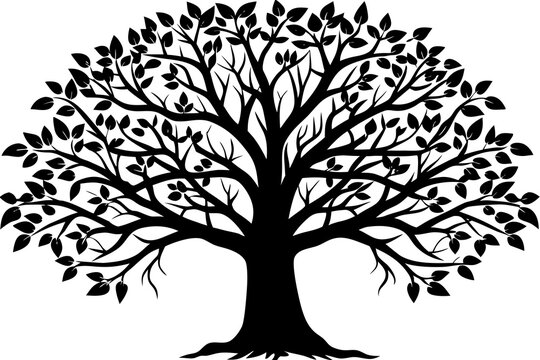 Black silhouette of a large tree with spreading branches and leaves on a white background vector