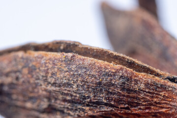 An extreme close-up macro photograph of a dried, deep reddish-brown Star Anise fruit, emphasizing the radially symmetrical structure formed by its woody, boat-shaped fo