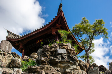 Fototapeta premium chinese temple in the park