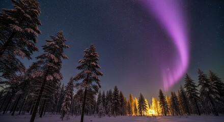 Northern Lights Displayed Over a Snowy Forest at Night
